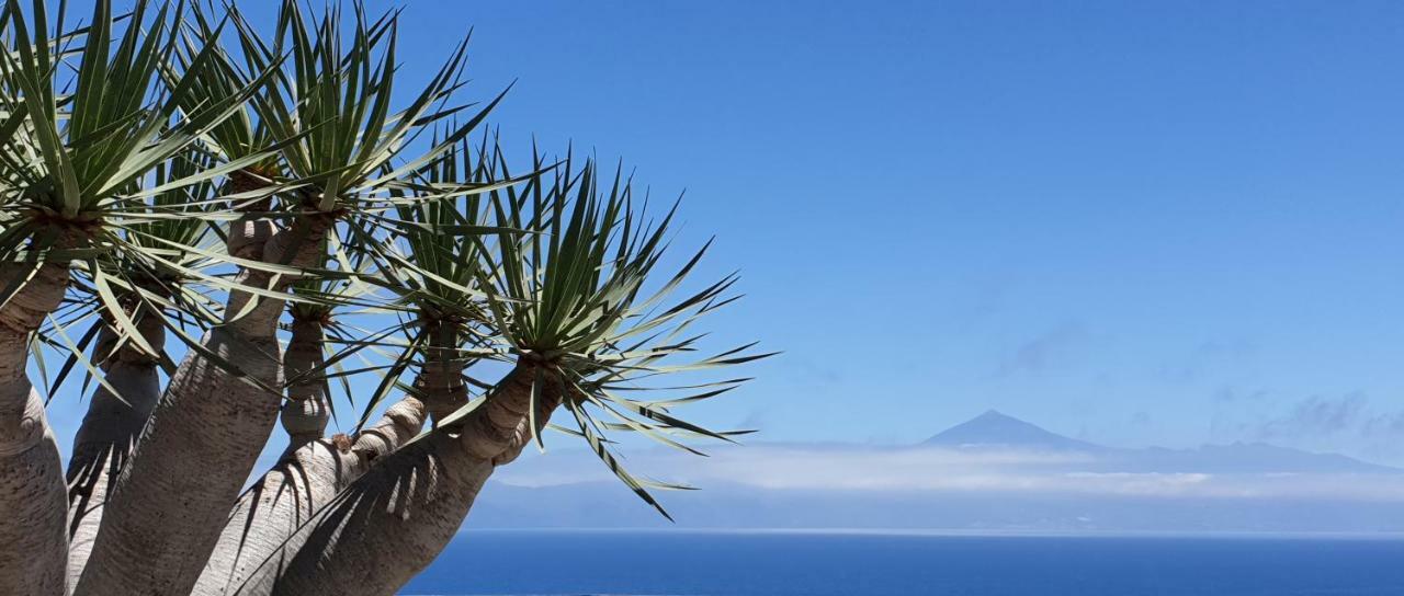 Viviendas Vacacionales Escuela Agulo Dış mekan fotoğraf